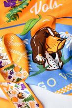 Load image into Gallery viewer, Tennessee Vols Twilly Scarf