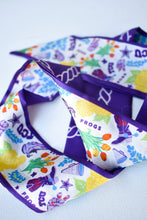 Load image into Gallery viewer, TCU Horned Frogs Twilly Scarf