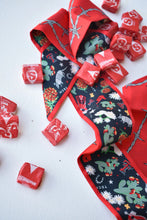 Load image into Gallery viewer, Texas Tech Twilly Scarf