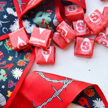 Load image into Gallery viewer, Texas Tech Twilly Scarf