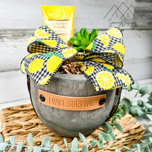 Load image into Gallery viewer, Paulownia Planter Summer Gift Set