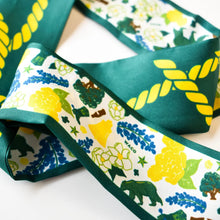 Load image into Gallery viewer, Baylor Bears Twilly Scarf
